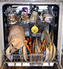 How Dishwashers Really Work