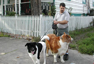 Big New Orleans Dogs