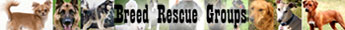 Breed Rescue Groups