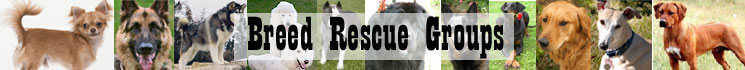 Breed Rescue Groups