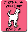 Albuquerque dog save a life - spay/neuter
