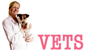 Albuquerque Dog Local Veterinarians