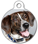 Dog Tag Art tag